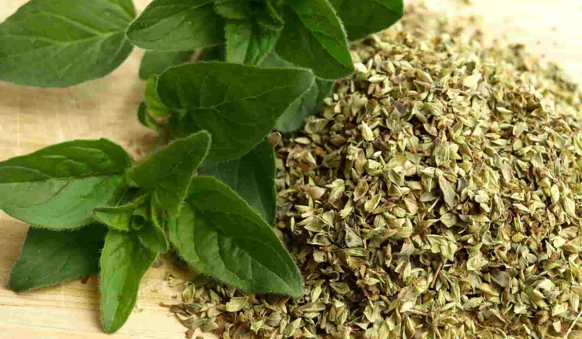 Wilder Thymian 250g زعتر بري زوبعة